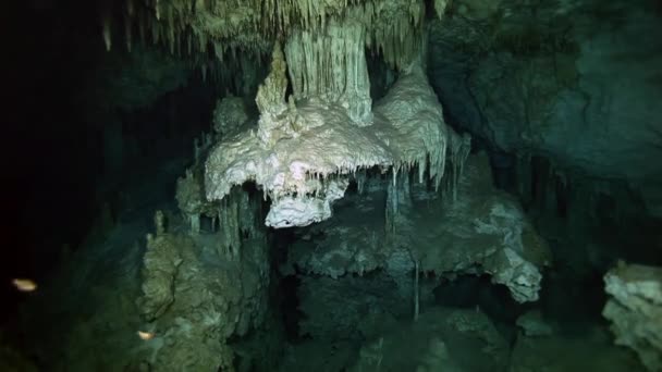 Underwater stalagmiter i mexikanska cenote. — Stockvideo