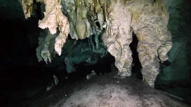 Undersøiske stalaktitter i Yucatan Mexicansk cenote . – Stock-video
