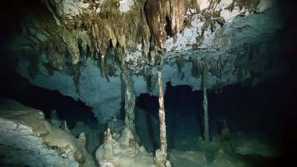 Underwater stalaktiter i Yucatan mexikanska cenote. — Stockvideo