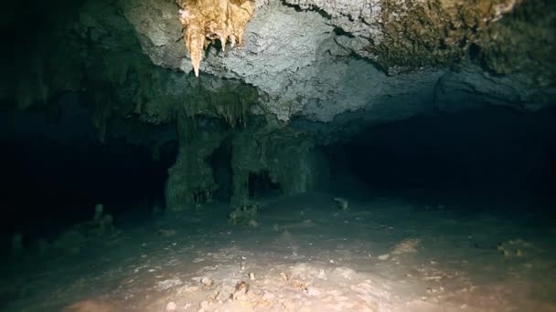 Υποβρύχια σταλακτίτες στο cenote Μεξικού Yucatan. — Αρχείο Βίντεο