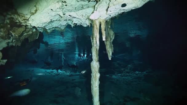 Podwodne krajobraz Jukatan meksykański Cenote. — Wideo stockowe