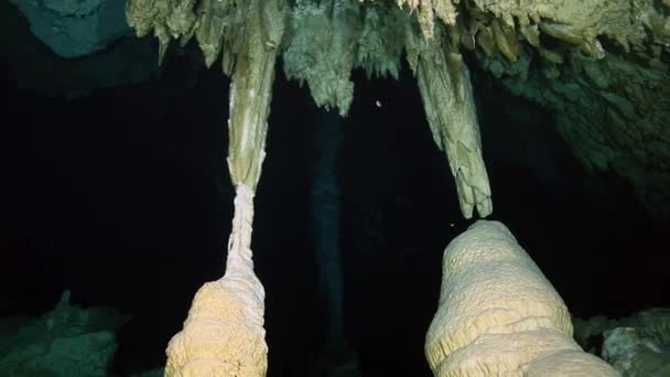 Підводний ландшафт на Юкатан мексиканський центе. — стокове відео