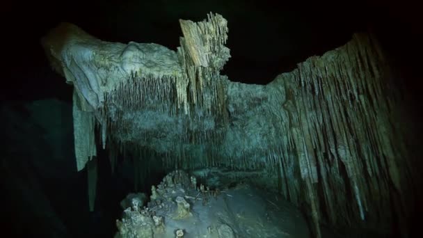 Podvodní stalaktity v mexickém cenotu. — Stock video