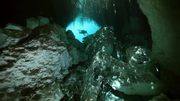 Trädens rötter och stenar i Yucatan mexikanska cenote. — Stockvideo