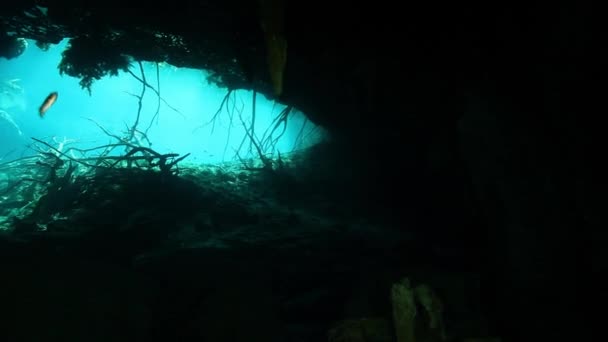 Underwater stalaktiter i Mexiko cenote. — Stockvideo