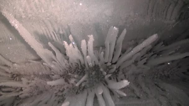 Estalactitas de hielo y estalagmitas en cueva de hielo. — Vídeo de stock