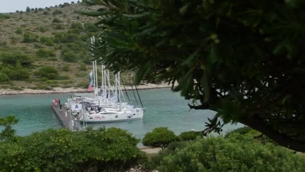 Barche e yacht a Marina di Sibenik in Croazia . — Video Stock