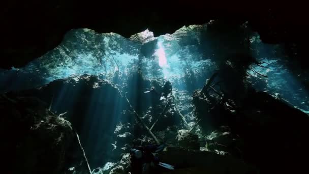 Blick auf Bäume unter Wasser in mexikanischer Cenote. — Stockvideo