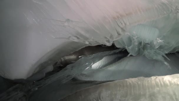 Ice stalactites and stalagmites in ice cave. — Stock Video