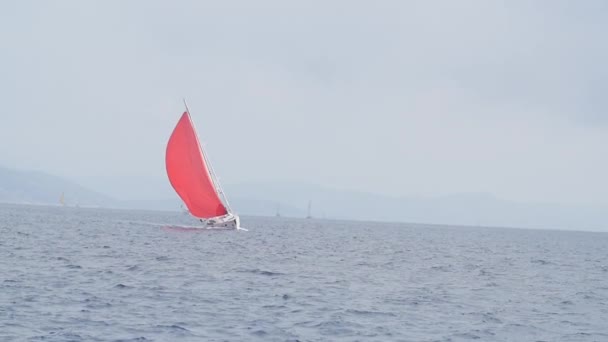 Zeilschip jachten met rode zeilen in open zee. — Stockvideo