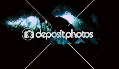 Meksika hipotermik sualtı ağaçlardan görünümünü.