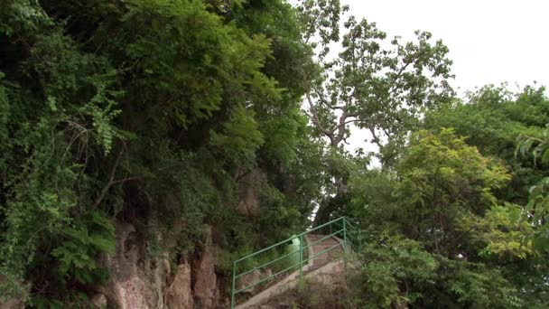 Árboles en la orilla del lago Fuxian en la provincia de Yunnan China. — Vídeo de stock