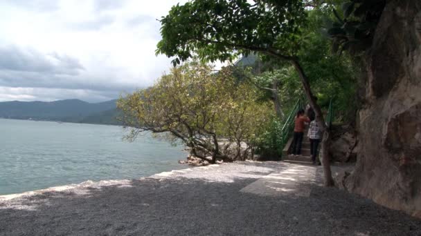 Дерева на березі озера Фусянь в провінції Юньнань.. — стокове відео