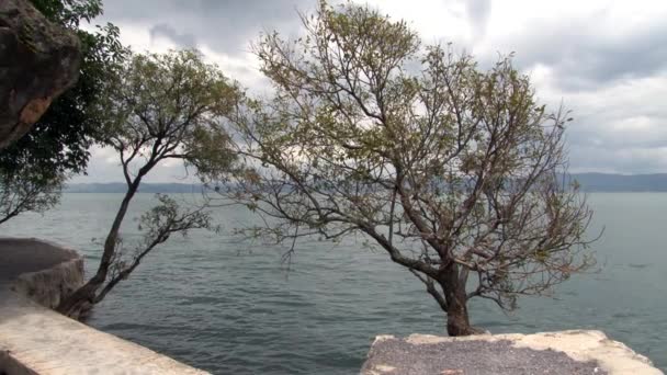 Деревья на берегу озера Фусянь в провинции Юньнань Китай. — стоковое видео