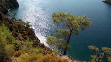 Güneş ışınları kıyı şeridi yakınlarındaki deniz suyunun yüzeyinde yatla oynar..