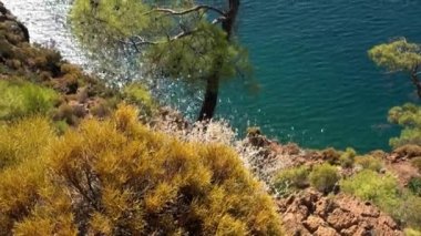 Güneş ışınları, deniz suyunun yüzeyinde, kıyı dağlarında yeşil ağaçlarla oynar..