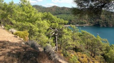 Akdeniz Koyu 'ndaki beyaz yatlar.