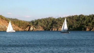 Beyaz yatlar gün ışığında yelken açar. Deniz ve dağların arka planında..