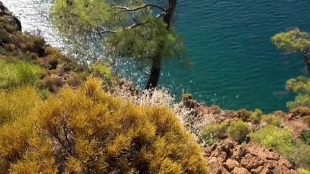 Les rayons du soleil jouent à la surface de l'eau de mer avec des arbres verts sur la montagne côtière dans la baie. — Video