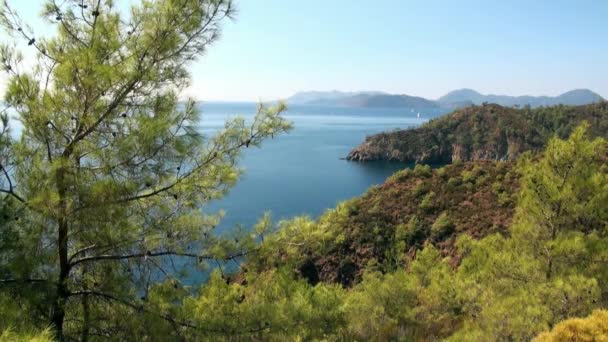 Güzel deniz manzarası ve eşsiz kıyı manzarası. Yatlar körfezde seyrediyor.. — Stok video