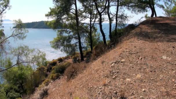 Alberi verdi in raggi di sole sulla montagna costiera sullo sfondo del paesaggio marino in Turchia. — Video Stock