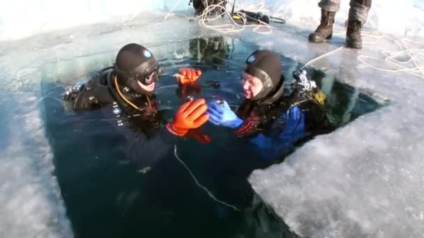 Les plongeurs boivent de la vodka dans le trou avant la plongée du lac Baïkal. — Video