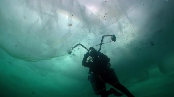 Buzo camarógrafo bajo hielo en agua fría del lago Baikal. — Vídeos de Stock