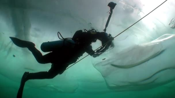 Caméraman plongeur sous la glace dans l'eau froide du lac Baïkal. — Video