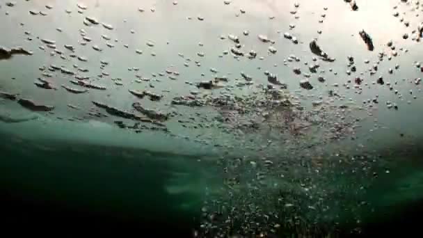 바이칼호의 얼음 밑 해저 풍경 위에 거품이 일고 있다. — 비디오