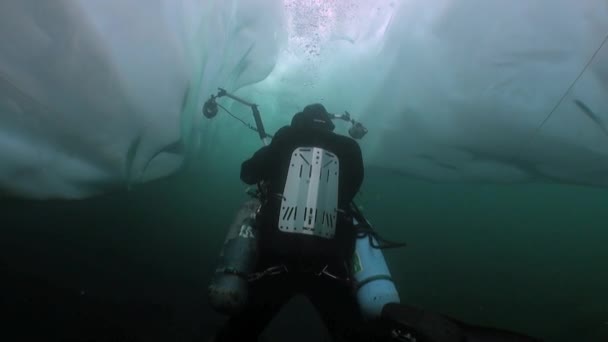 Technical diver cameraman under ice in cold water of lake Baikal. — Stock Video