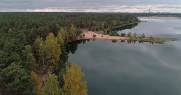 Mit klarem Wasser gefüllte Landschaft am Rande klarer Teiche mit spiegelglatter Oberfläche aus reinem Wasser, umgeben von dichtem grünen Wald. — Stockvideo