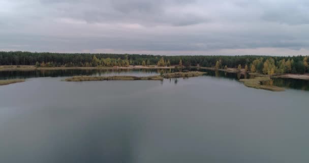 Vista aérea paisaje transparente lleno de agua dulce en las afueras de estanques claros con superficie de espejo de agua pura rodeado de bosque verde denso Concepto naturaleza al aire libre. — Vídeo de stock