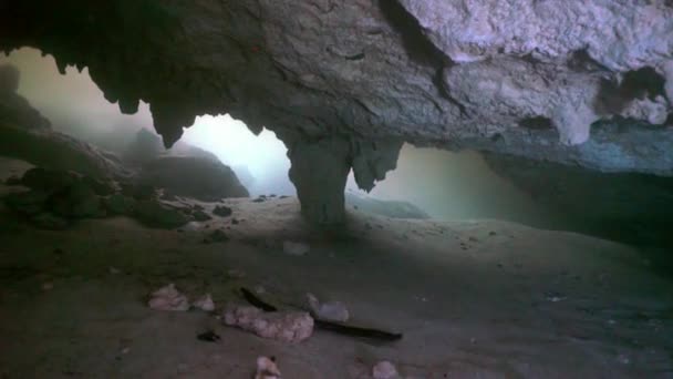 Buceo de cuevas bajo el agua en Yucatán México cenotes. — Vídeo de stock