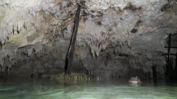 Grottdykning i undervattensgrottor på Yucatan Mexico cenotes. — Stockvideo