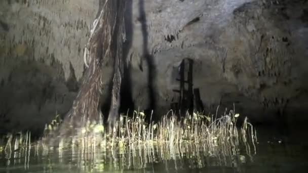 Grot duiken onder water in Yucatan Mexico cenotes. — Stockvideo