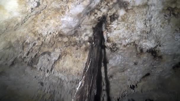 Grottdykning under vattnet i Yucatan Mexico cenotes. — Stockvideo