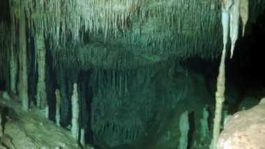 Yucatan Meksika 'da mağara dalışı.