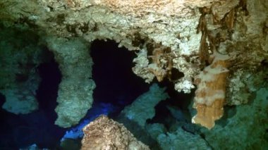 Yucatan Meksika 'nın sualtı mağaralarındaki kayalıklarda dalgıçlar.