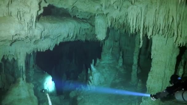 멕시코 유카탄주 의물 속에서 잠수하는 동굴. — 비디오