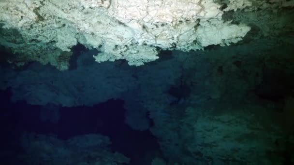 Potápěči ve skalách podvodní jeskyně Yucatan Mexiko cenotes. — Stock video
