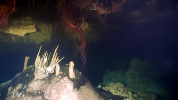 Potápěči ve skalách podvodní jeskyně Yucatan Mexiko cenotes. — Stock video