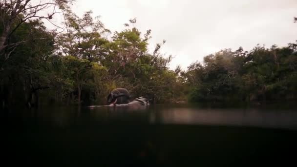 Jaskinia nurkowanie w podwodnych jaskiniach Yucatan Meksyk cenotes. — Wideo stockowe