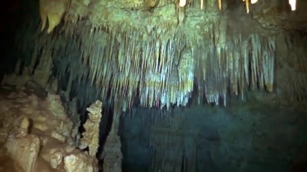 Jaskinia nurkowanie w podwodnych jaskiniach Yucatan Meksyk cenotes. — Wideo stockowe