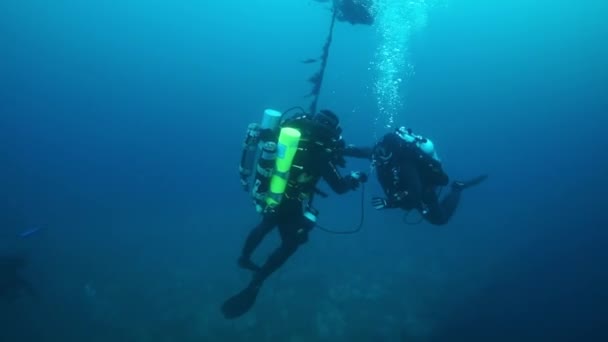 トラック島の水中世界で難破船の近くのダイバー. — ストック動画