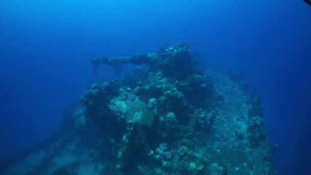 Arma de batalla del naufragio de un barco hundido en las Islas Truk bajo el agua. — Vídeo de stock