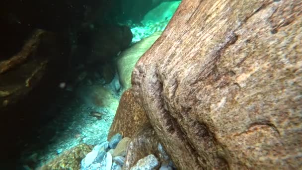 Closeup underwater smooth rock. — Stock Video