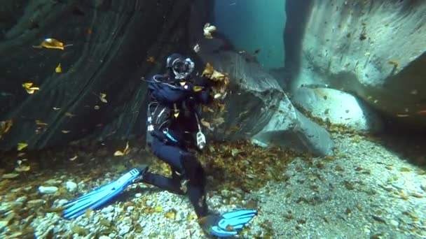 Potápění pod vodou Verzaska horské řeky ve Švýcarsku brousí kámen. — Stock video