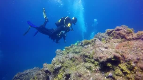 Grupo de mergulhadores subaquáticos em recifes de corais de fundo de origem vulcânica no oceano Atlântico. — Vídeo de Stock