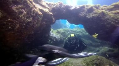 Atlantik Okyanusu 'ndaki su altı kaya ve yarıkları yakınında dalgıçlar.
