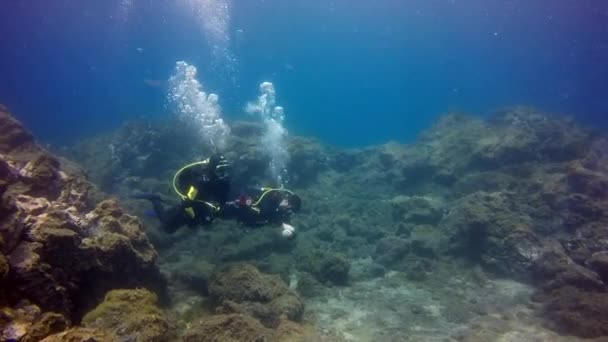 Buceadores bajo el agua en arrecife de coral de fondo de origen volcánico en el océano Atlántico. — Vídeo de stock